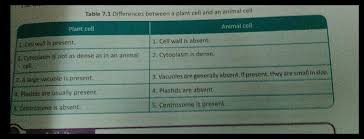 A comparison of plant and animal cells using labelled diagrams and descriptive explanations. Please Differentiate Between Plant Cell And Animal Cells In 3 Points Science Cell Structure And Functions 13012293 Meritnation Com