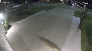 It's important to consider why coyotes linger around homes in the first place. What To Do About Urban Coyotes In Your Backyard Khou Com