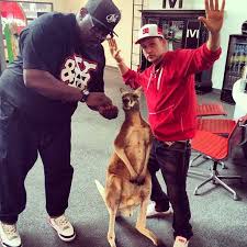 Pin On Dyrdek