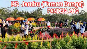 Taman bunga pandeglang banten, taman bunga kampung jambu pandeglang, kampung jambu. Wisata Kp Jambu Taman Bunga Pandeglang Banten Youtube