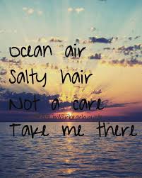 Maybe you would like to learn more about one of these? Beach Quotes In Instagram Summer Quotes 17 Likes 3 Comments Beach Quotes Dogtrainingobedienceschool Com