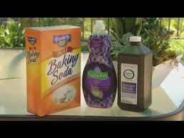 1/4 cup baking soda 3. Verify What Gets Rid Of Skunk Spray Smell Youtube