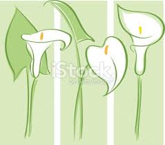 Calla Lily Art Deco Drawing Google Search Lilies Drawing Lily Painting Calla Lily