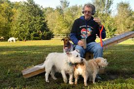 Vaccinations clinic in columbia, mo. Pet Euthanasia Rates Have Dropped Significantly Here Are Some Reasons Why Local Columbiamissourian Com