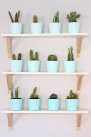 Diy Cactus Wall Design Evolving Natural Home Decor Bedroom Decor Inspiration House Plants Decor