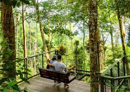 A world class rainforest discovery park atop the. Merdeka Promo The Habitat Penang Hill Admission Pass Day Entry Travelog