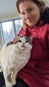 Found cat in East Selkirk, is it missing?