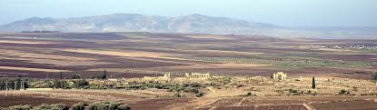 Site Archeologique De Volubilis Wikipedia