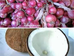 Can onion juice help hair grow fast? Onion Juice For Hair Growth Rich In Sulphur To Stimulate Hair Follicle Hair Buddha
