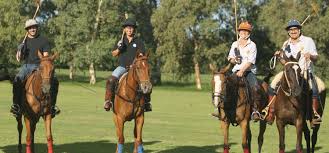 The patagonia trail horse riding holidays in argentina globetrotting. Horse Riding Holidays In Argentina 5 Destinations Far And Ride