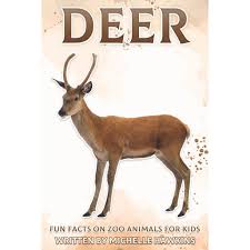 To top this, the male ostriches are known to roar like lions. Fun Facts On Zoo Animals For Kids Deer Fun Facts On Zoo Animals For Kids 26 Paperback Walmart Com Walmart Com