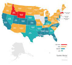 Insurance coverage for gastric bypass surgery. Cost Of Gastric Sleeve Surgery 2015 Price Survey