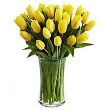Dollar tree store at east cliff village shopping center in santa cruz, ca. Santa Cruz Das Flores Wonderful Day Flower Delivery 20 Yellow Tulips Flower Delivery Santa Cruz Das Flores Online Florist Santa Cruz Das Flores