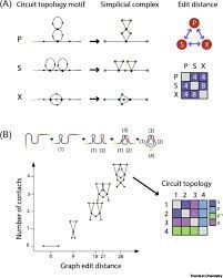 We did not find results for: Topology Of Folded Molecular Chains From Single Biomolecules To Engineered Origami Trends In Chemistry
