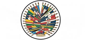 We recommend having a logo designer customize your free logo before you use it commercially. Organisatie Van Amerikaanse Staten Neemt Lhbti Resolutie Aan Coc Nederland Coc Nederland