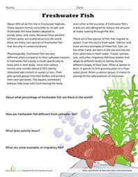 It's great for building logical thinking skills and spatial reasoning skills too. Freshwater Fish Worksheet Education Com Freshwater Fish Fresh Water Fish Unit