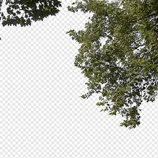 About sweet bay leaf trees. Green Leafed Tree Landscape Foreground Tree Leaf Triangle Branch Png Pngwing