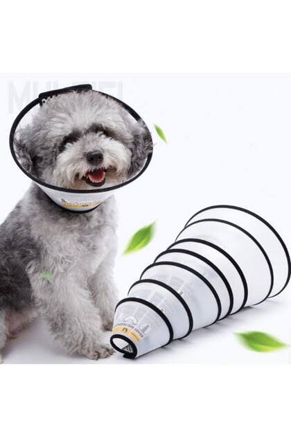 Elizabet Pet Yakalıkları
