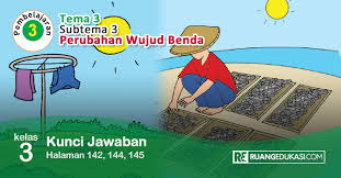 Kunci Jawaban Tema 3 Kelas 3 Halaman 142 144 145 Buku Tematik Kurikulum 2013 Buku Kurikulum Halaman