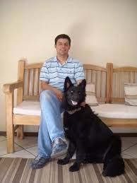 We did not find results for: German Shepherd Dog Breed Pictures 2