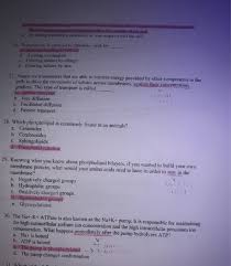 They make up around a third of human. Theresting Membrane Potential For Most Animal Cells Chegg Com