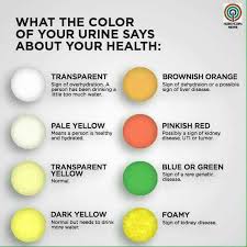 Urine Colors Chart Meaning Of Pee Color Smell