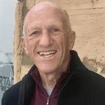 David Carl Ellefson Obituary