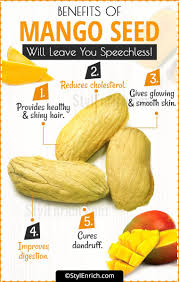 Mango Seed Benefits Mangoseeds Benefits Urskin Mango Benefits Mango Health Benefits Avocado Seed Benefits