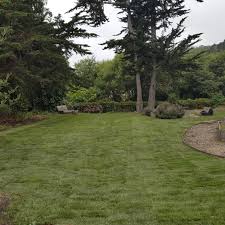 We did not find results for: Sod For Sale In California Charlie Delta Sod Stockton Ca