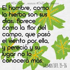 El Hombre Como La Hierba Son Sus Dias Florece Como La Flor Del Campo Que Paso El Viento Por Ella Y Perecio Y Su Lugar No Salmos Frase De Fe Citas