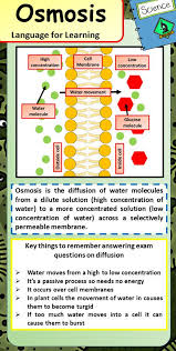 Pin By Christin Lee On Bio Works Biology Notes Gcse Science Revision Gcse Biology Revision