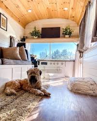 They Live In A School Bus W Their 3 Dogs In 2020 Tiny Houses For Sale Bus House School Bus House