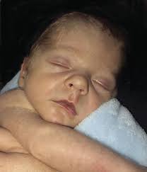 Meet Your New Neighbors