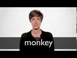 French Translation Of Monkey Collins English French Dictionary Обезьяна, мартышка 2) обезьяний мех 2. french translation of monkey