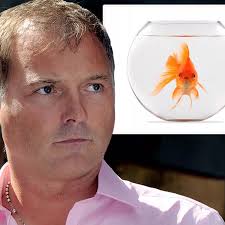 Family of TV's John Leslie heartbreak as burglars poison their goldfish  with vodka