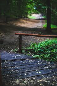 Check spelling or type a new query. Wood Nature Forest Road Mountain Dark Summer Iphone 7 Wallpaper Iphone7wallpapers Co