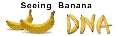 Image result for bananas dna similar humans
