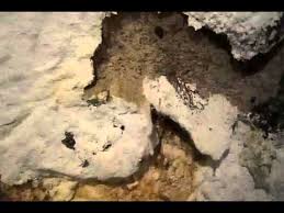 However, if the surface you are cleaning is located indoors, this process can be carried out with a spray bottle filled with water. Basement Waterproofing Paint Efflorescence Youtube
