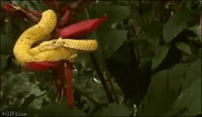 Image result for tbn:qO7wj5skszRxcM::img516.imageshack.us/img516/5782/untitled92of.png