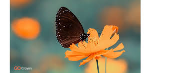 Saint patrick's day, or the feast of saint patrick (irish: 20 Free Spring Backgrounds For Microsoft Teams Crayon