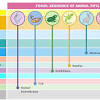 Radiometric dating methods are used in geochronology to establish the geologic time scale. 1