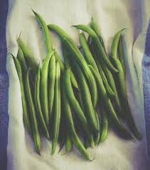 Pour autant, vous pouvez les mettre au congélateur afin de les déguster et bénéficier de leurs bienfaits tout au long de l'année. Comment Congeler Les Haricots Verts
