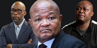 Mkhwanazi twisted what I said about comrade Brown Mogotsi, Mchunu tells  Parliament