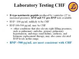 Laboratory Testing Chf Bnp Levels Nursing Labs Nursing