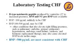 laboratory testing chf bnp levels nursing labs nursing