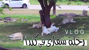 ١٠ افكار سهلة ورخيصة لترتيب التسريحة و المكياج و الاكسسوارات Youtube