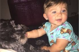 Chú chó lấy thân mình che chắn cô chủ nhỏ trong đám cháy