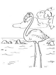 Printable cute baby animal coloring pages. Flamingo Coloring Pages Best Coloring Pages For Kids