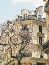 Maison Pradier X Paris With Me Paris Maison French Breakfast