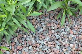 Kies und rindenmulch, die sich auch in formen. Ob Bodendeckerpflanzen Rindenmulch Oder Kiesbeet Anlegen Native Plants